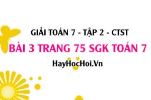 Giải bài 2 trang 75 Toán 7 tập 2 SGK Chân trời sáng tạo